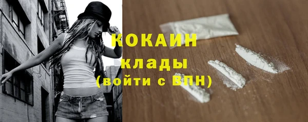 хмурый Козловка