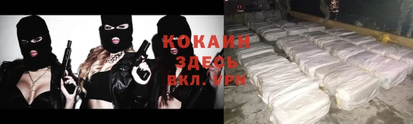 хмурый Козловка