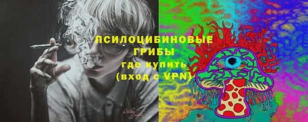 хмурый Козловка