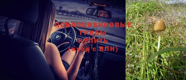 прущая мука Козельск